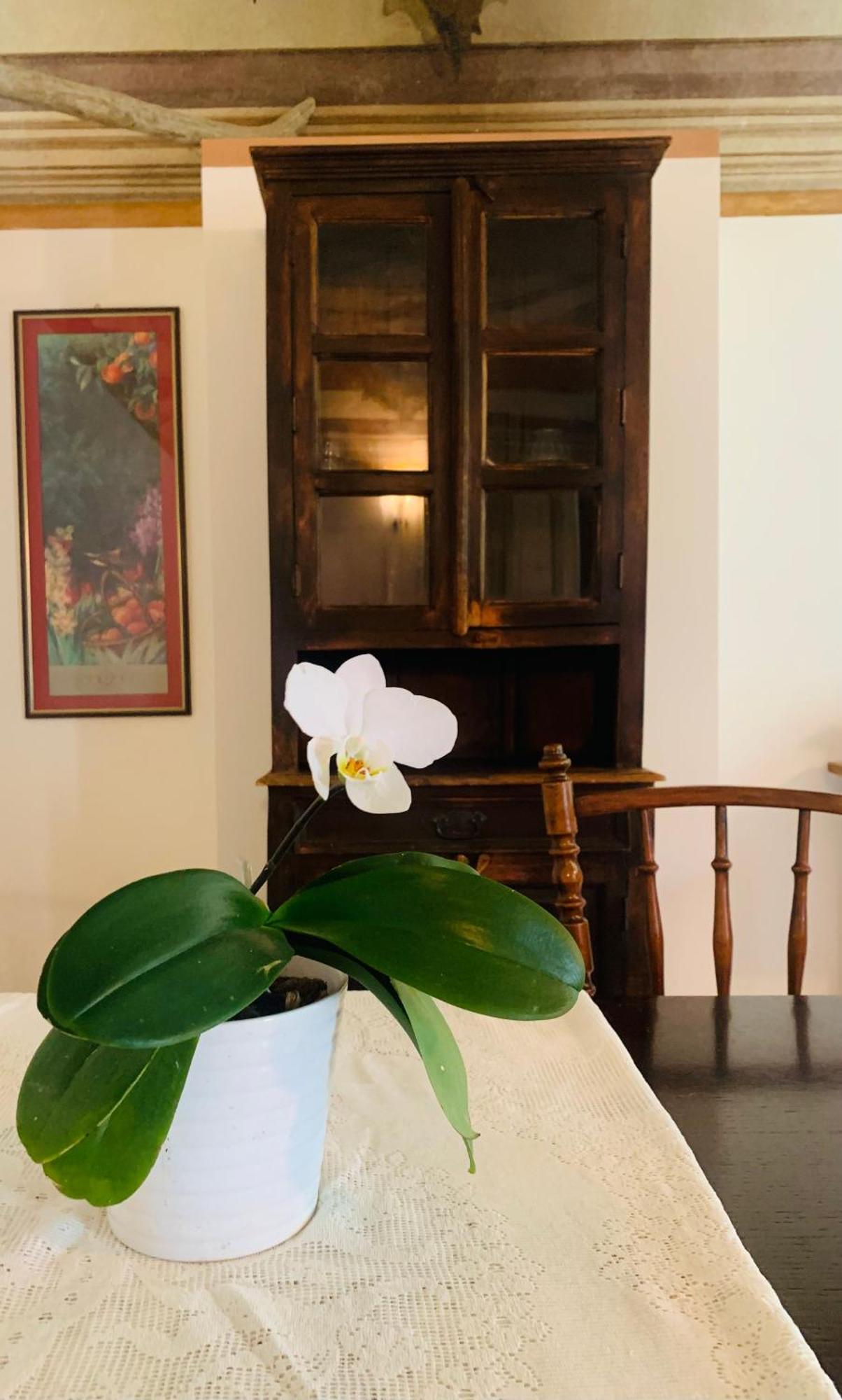 Appartamento Cascina Ambrosia Residenza D'Epoca Asti Esterno foto